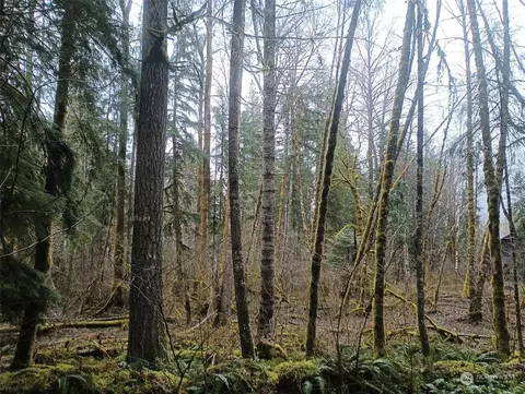 0 Craig Rd, Packwood, WA 98361