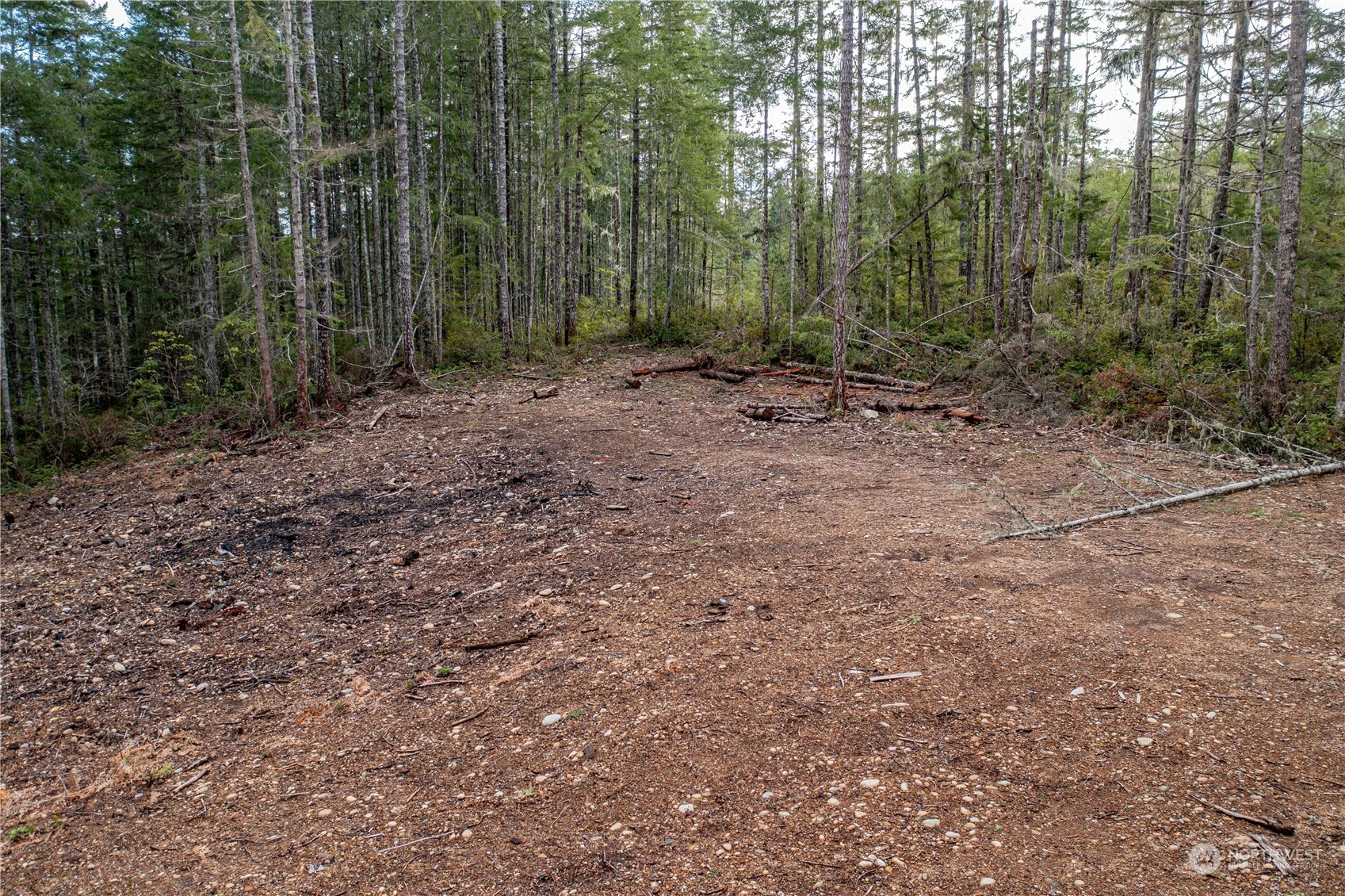 905 NE Tahuya Blacksmith Rd  