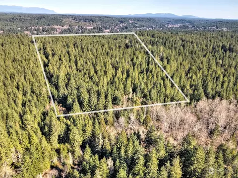 963 NE Black Bear Rd, Belfair, WA 98528