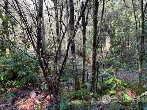 13649 Chein Hill Ln SE, Tenino, WA 98589