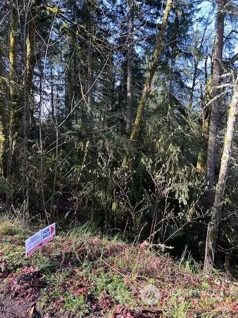 13701 Chein Hill Ln SE, Tenino, WA 98589