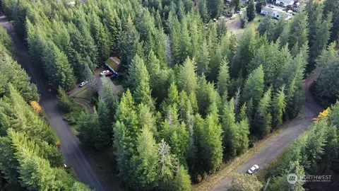 460 E Hyland Dr, Union, WA 98592 photo 5