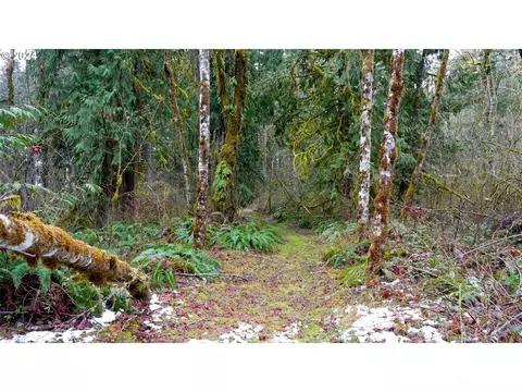 0 NE Bonanza Rd, Brush Prairie, WA 98606