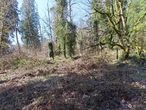 0 Nnn Kalama River Rd, Kalama, WA 98625