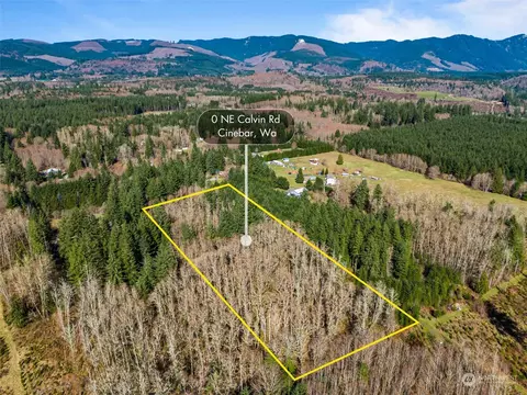 0 Calvin Rd, Onalaska, WA 98570