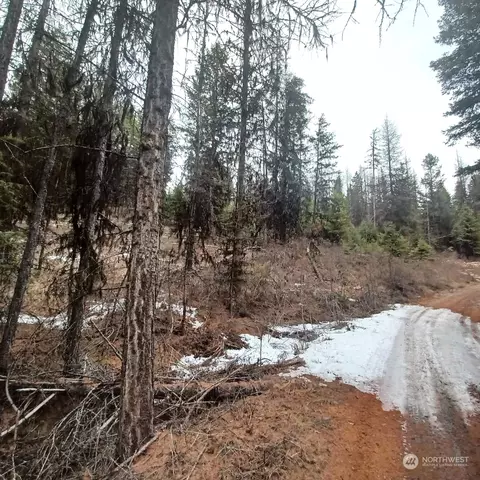 0 X Mule Deer Rd, Republic, WA 99166