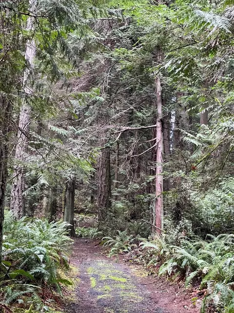 0 Nnn Dana Dr NW, Gig Harbor, WA 98332
