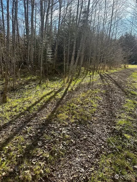31404 558th Street Ct E, Ashford, WA 98304