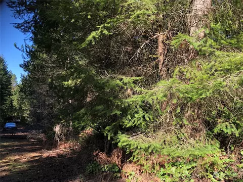 0 NE Munson Ct, Belfair, WA 98528