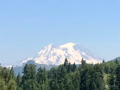 48225 Alder Cutoff Rd E, Eatonville, WA 98328