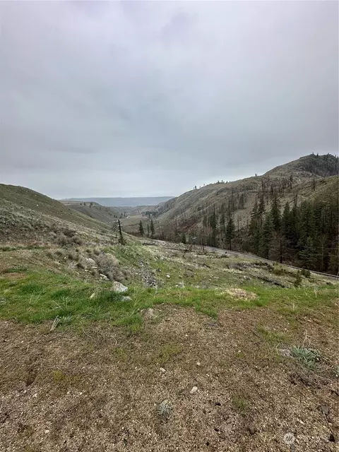 2830 Lot D Antoine Creek Rd, Chelan, WA 98816