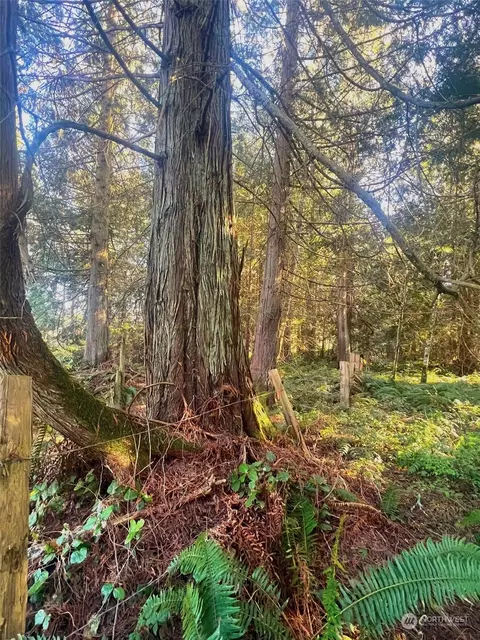 999 W Foster Rd, Port Hadlock, WA 98339