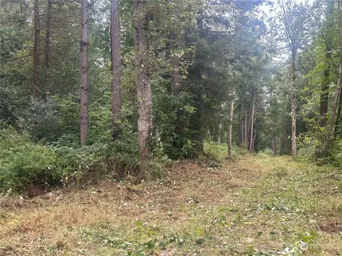 9586 Sunrise Rd, Blaine, WA 98230