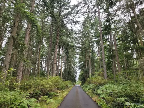 0 S Lot Great Dane Ln, Greenbank, WA 98253