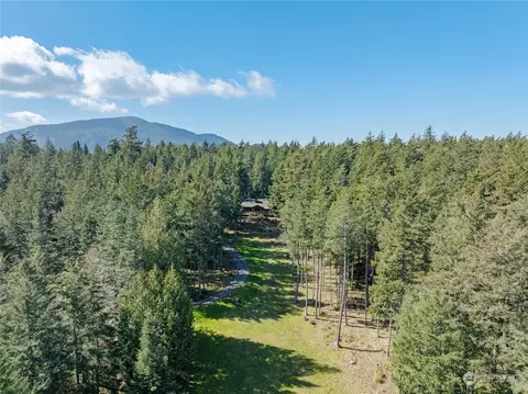 View/Area - 824 Osprey Ln, Eastsound, WA 98245 photo 3 of 4
