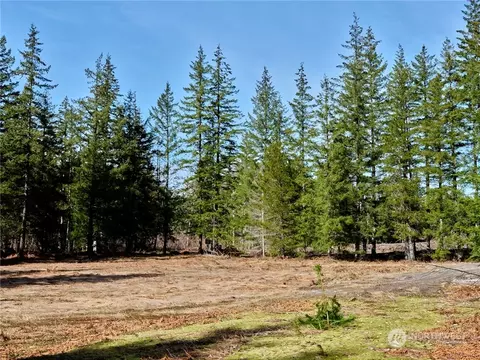6 Loowit Ln, Cougar, WA 98616