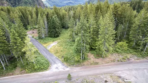 1 Lahar Ln, Cougar, WA 98616