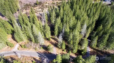 8 Lahar Ln, Cougar, WA 98616