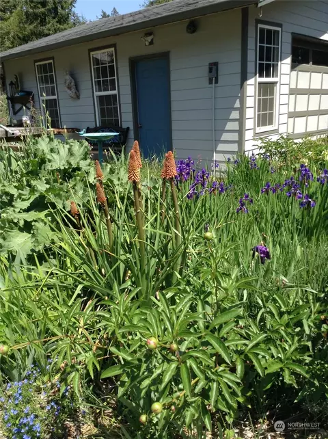 Exterior - 371 E Cronquist Rd, Allyn, WA 98524 photo 10 of 12