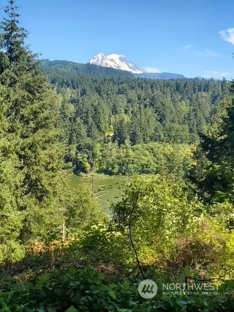 40532 114th Ave E, Eatonville, WA 98328
