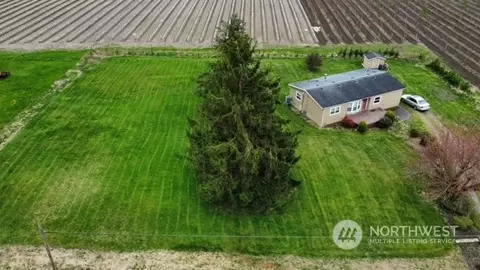 8242 Gillies Rd, Everson, WA 98247 photo 22