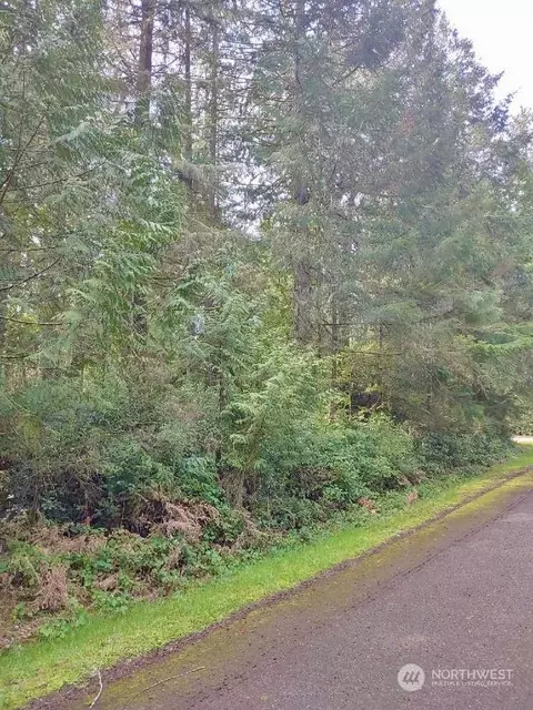 11811 Country Club Dr, Anderson Island, WA 98303