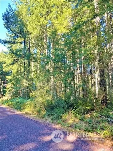 10001 129th Avenue Ct, Anderson Island, WA 98303