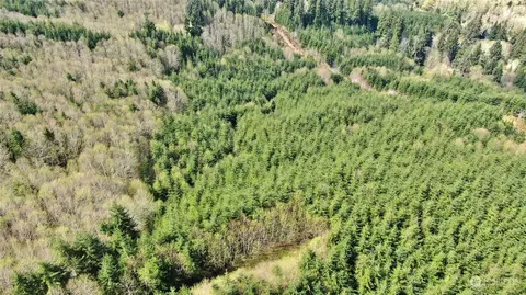 0 Off Of State Route 107, Montesano, WA 98563