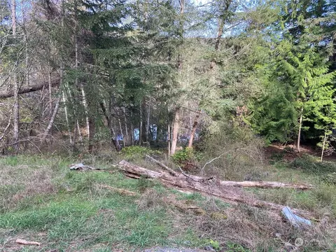 363 Teal Ln, Orcas Island, WA 98245 photo 15