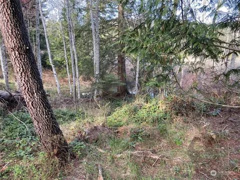 363 Teal Ln, Orcas Island, WA 98245 photo 2