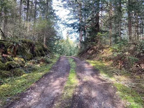 363 Teal Ln, Orcas Island, WA 98245 photo 4