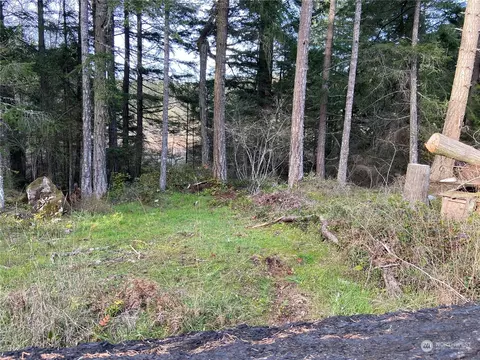 363 Teal Ln, Orcas Island, WA 98245 photo 6
