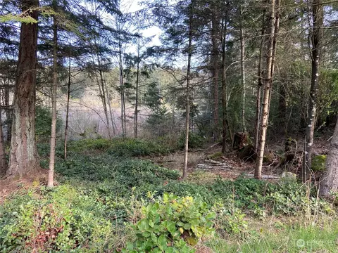 363 Teal Ln, Orcas Island, WA 98245