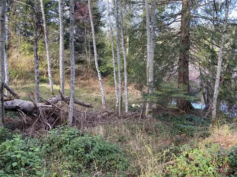 363 Teal Ln, Orcas Island, WA 98245 photo 5
