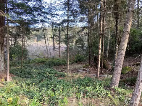 363 Teal Ln, Orcas Island, WA 98245 photo 3