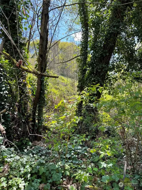 4700 S 109th St, Tukwila, WA 98178