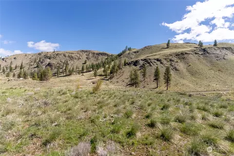 87 Silver Heights Ln, Twisp, WA 98856 photo 3