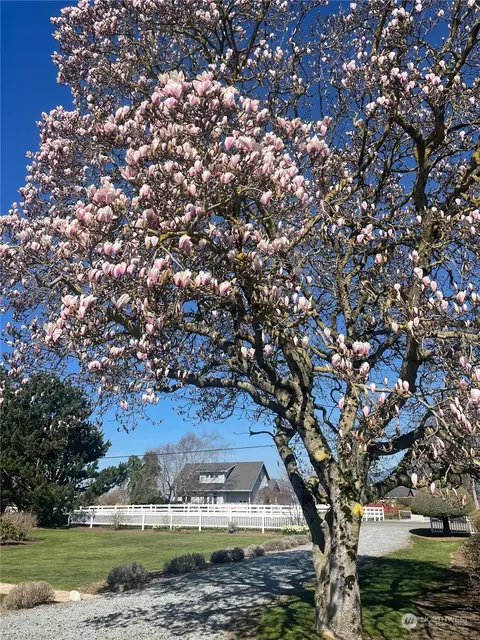 Exterior - 16244 Field Rd, Bow, WA 98232 photo 8 of 10