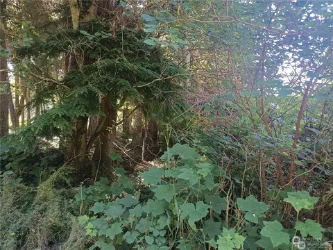 0 Lot 14 Teronda Dr, Coupeville, WA 98239