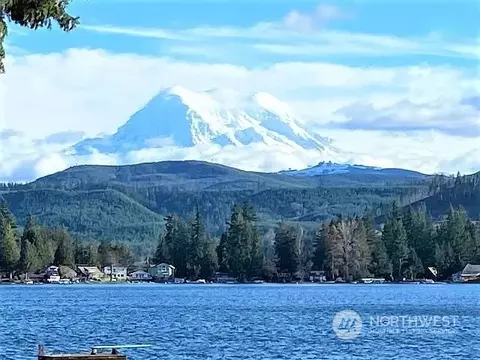 11512 Clear Lake North Rd E, Eatonville, WA 98328