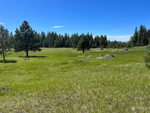 12 Spring Meadow Ln, Oroville, WA 98844