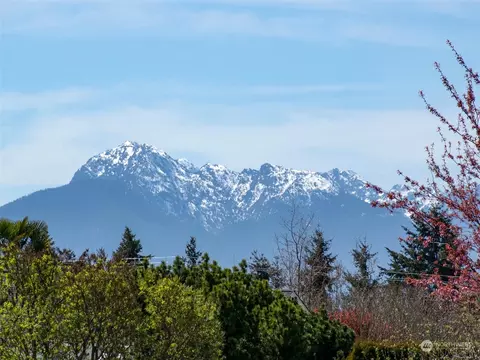 View/Area - 60 Heron Way, Sequim, WA 98382 photo 1 of 2