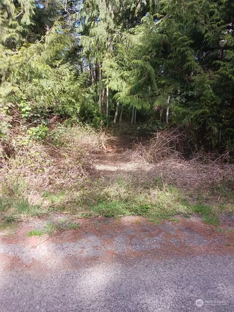 0 E Nnnn E Snowcap Dr, Belfair, WA 98525