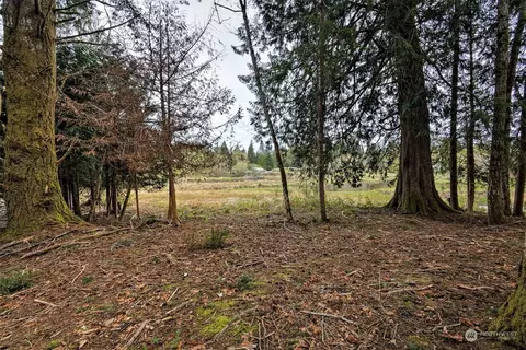 Exterior - 6545 E Grapeview Loop Rd, Allyn, WA 98524 photo 15 of 15