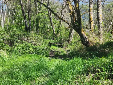 29405 Orville Rd E, Orting, WA 98360