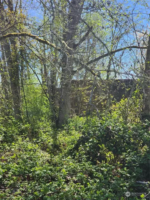 29405 Orville Rd E, Orting, WA 98360 photo 9