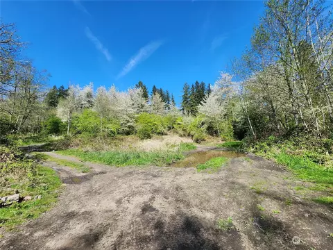 29405 Orville Rd E, Orting, WA 98360 photo 18