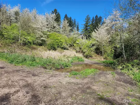29405 Orville Rd E, Orting, WA 98360 photo 19