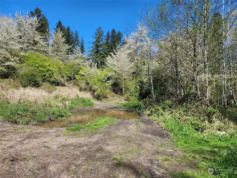 29405 Orville Rd E, Orting, WA 98360 photo 17