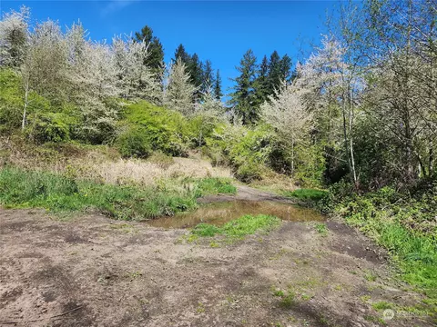 29405 Orville Rd E, Orting, WA 98360 photo 7
